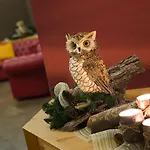 Meeting Hotel 4*